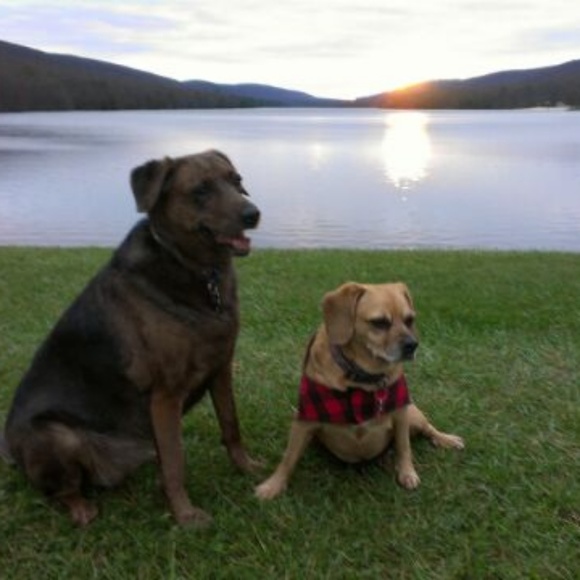 ***Reduced Holiday Prices*** - Picture 2 of 2